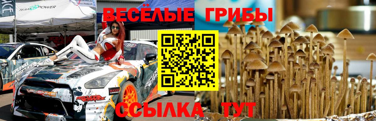 Галлюциногенные грибы мицелий  Вход с VPN  Галлюциногенные грибы Psilocybe  даркнет сайт  Гуково 
