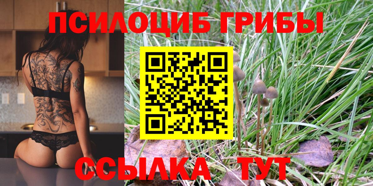 Псилоцибиновые грибы прущие грибы Гуково